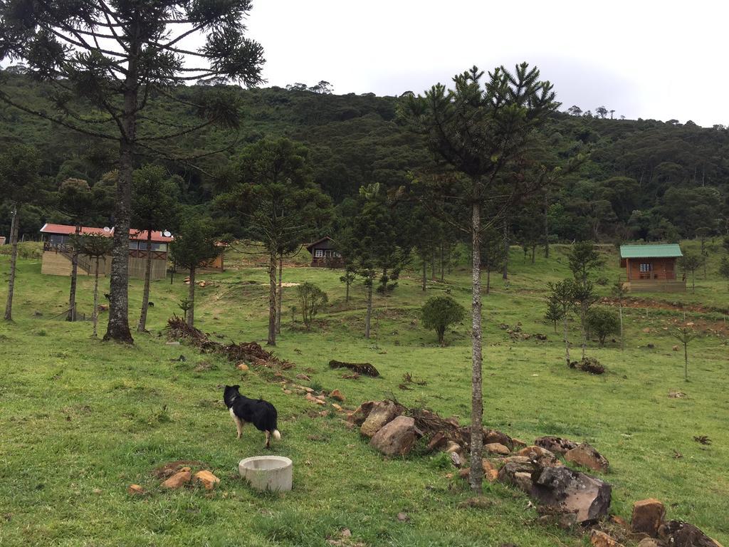 Fazenda Morro Das Torres Ирипема Екстериор снимка