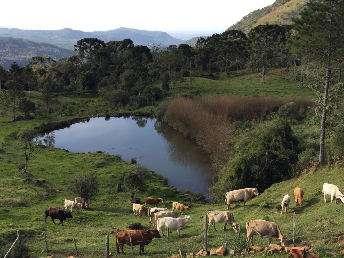 Fazenda Morro Das Torres Ирипема Екстериор снимка