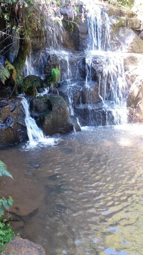 Fazenda Morro Das Torres Ирипема Екстериор снимка