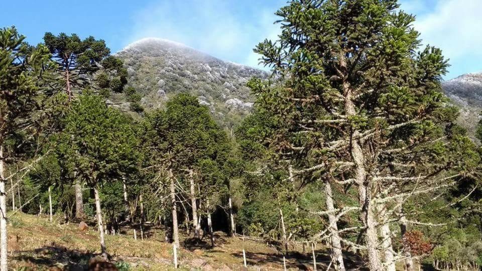 Fazenda Morro Das Torres Ирипема Екстериор снимка